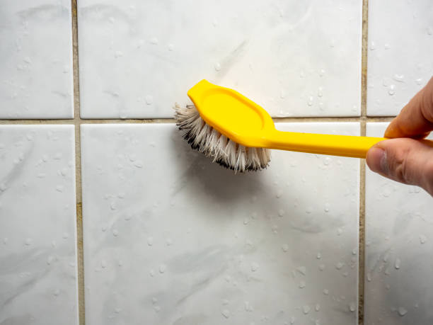 Best Toxic Mold Removal  in Roseburg, OR