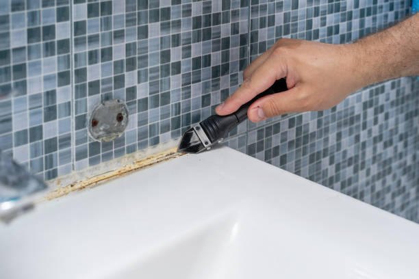 Best Mold Testing  in Roseburg, OR