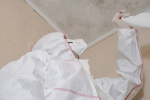 Best Best Mold Removal Companies  in Roseburg, OR